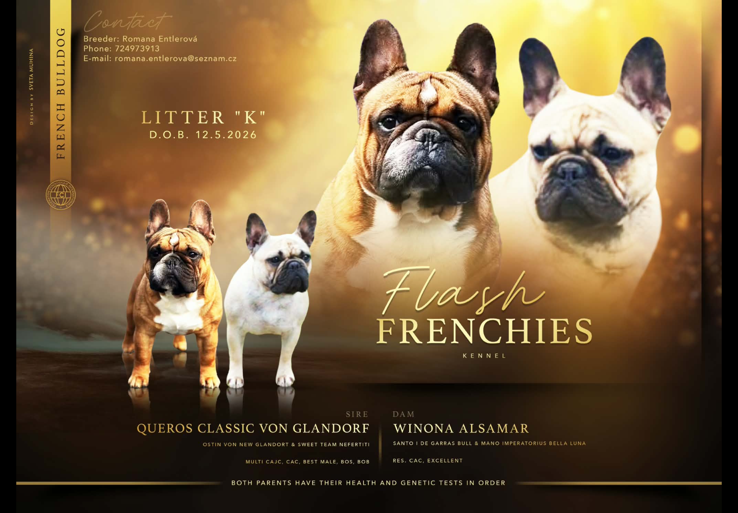 Flash Frenchies